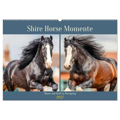 Shire Horse Momente. Masse und Kraft in Bewegung (Wandkalender 2027 DIN A2 quer), CALVENDO Monatskalender