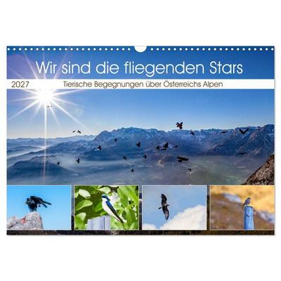 Wir sind die fliegenden Stars (Wandkalender 2027 DIN A3 quer), CALVENDO Monatskalender