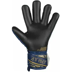 Reusch, Torwarthandschuhe, (8)