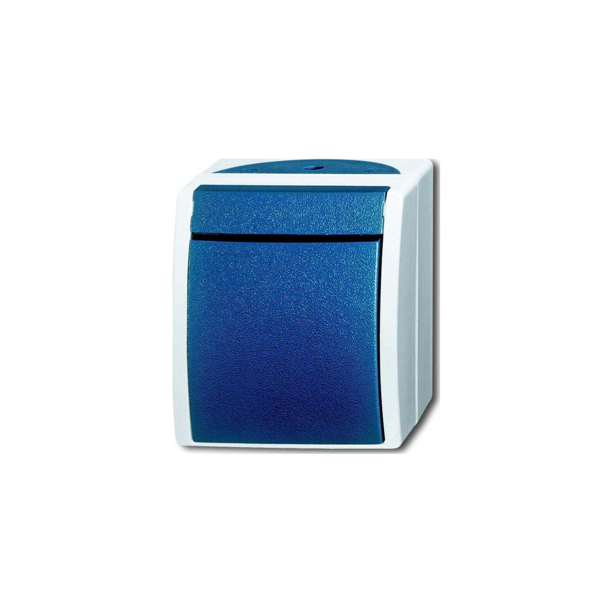 Busch-Jaeger Taster Schliesser, AP 2621 W-53 (2CKA001484A0370)
