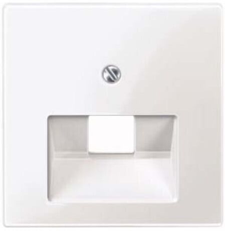 Merten Plaque centrale pws/gl pour insert UAE 1f. 296219 (296219)