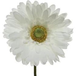 Kunstblume GERBERA (DH 10x50 cm) - DH 10x50 cm