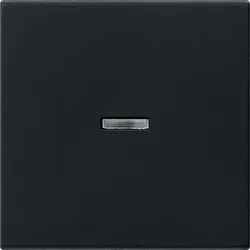 Gira Wippe schwarz Kontrollfenster 0290005