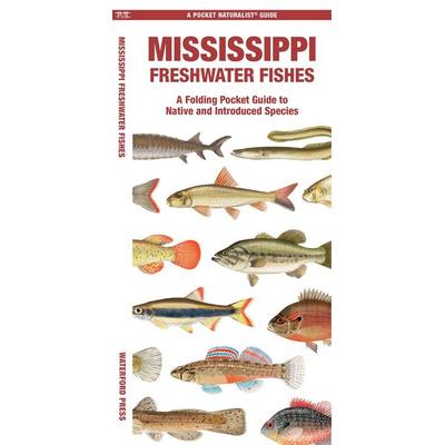 Mississippi Freshwater Fishes, Geheftet von Matthew Morris, Globe Pequot Publishing Group Inc, 978-1-62005-771-1