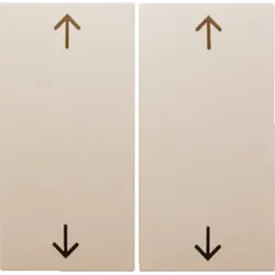 Berker Wippe weiß/gl Symbol Pfeil 16448982
