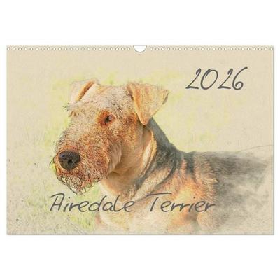 Airedale Terrier 2026 (Wandkalender 2026 DIN A3 quer), CALVENDO Monatskalender