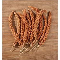 elles Kolbenhirse rot 1x15 kg
