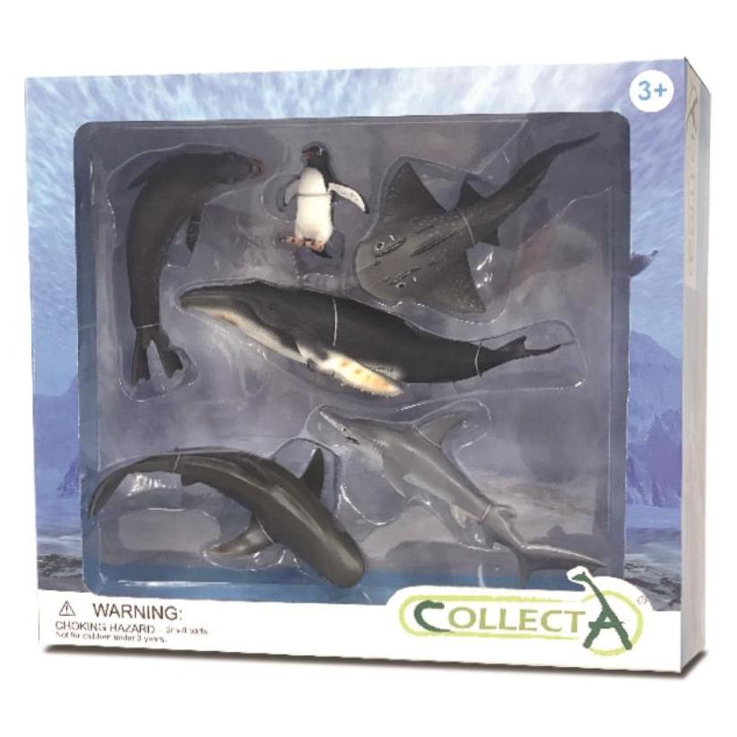 Collecta Figurka Zwierzęta morskie zestaw 6 el. (38615459)