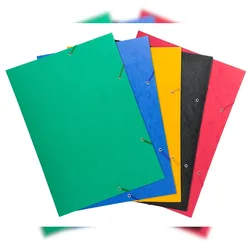 Exacompta 59500E 10x Sammelmappe aus Colorspan-Karton 600g, für Format DIN A3 - Farben sortiert