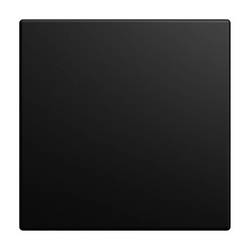 Busch-Jaeger Aluminium 2CKA001582A0461 1 St.