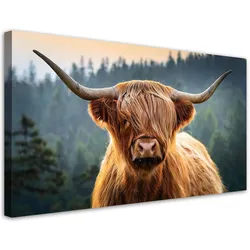 LEINWANDBILD Schottische Kuhtiere 120x60cm