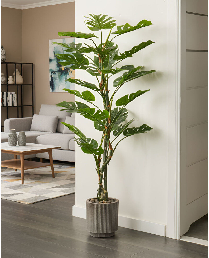 The Seasonal Aisle 165 cm H Faux Monstera Deliciosa Plant in Concrete and Plastic / Acrylic Pot Green 165cm H X 90cm W X 90cm D
