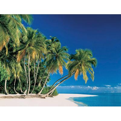 Fototapete PAPERMOON "Tropical Palms", bunt, B:2,5m L:1,86m, Vlies, Tapeten