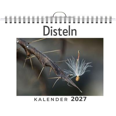 Disteln
