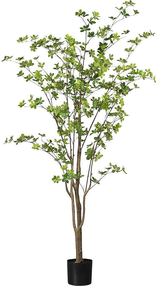 kaiserkraft Louisiana-Baum, im Kunststofftopf, mit PU-Stamm, Höhe 1800 mm