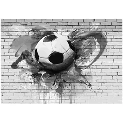 FOTOTAPETE 3D Fußball Grau 400x280 cm