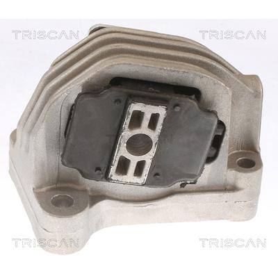 TRISCAN Lagerung, Motor 8505 27110 für Volvo