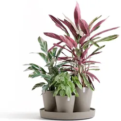 Ecopots, Blumentopf, Dubai (57 x 30 cm)
