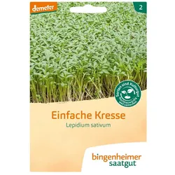 Einfache Kresse - Lepidium sativum