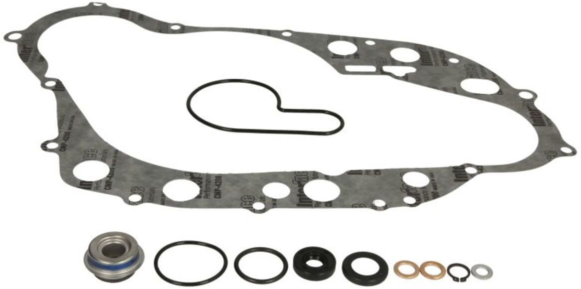Pompe à eau WINDEROSA W821916