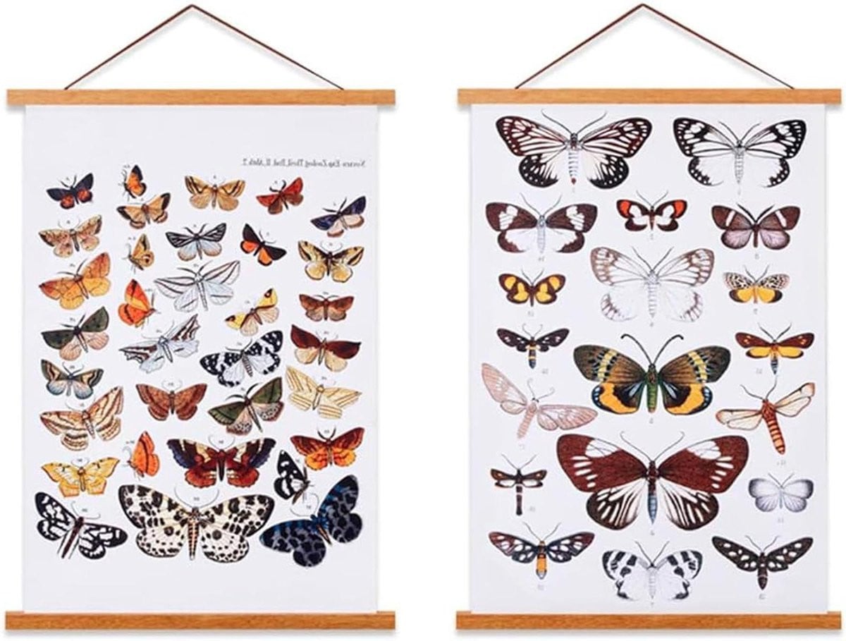 Magnetische fotohanger posterlijst in teak - 305 cm
