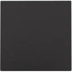 Niko Züblin 200-76901 Blindabdeckung, Farbausführung: piano black coated. 20076901