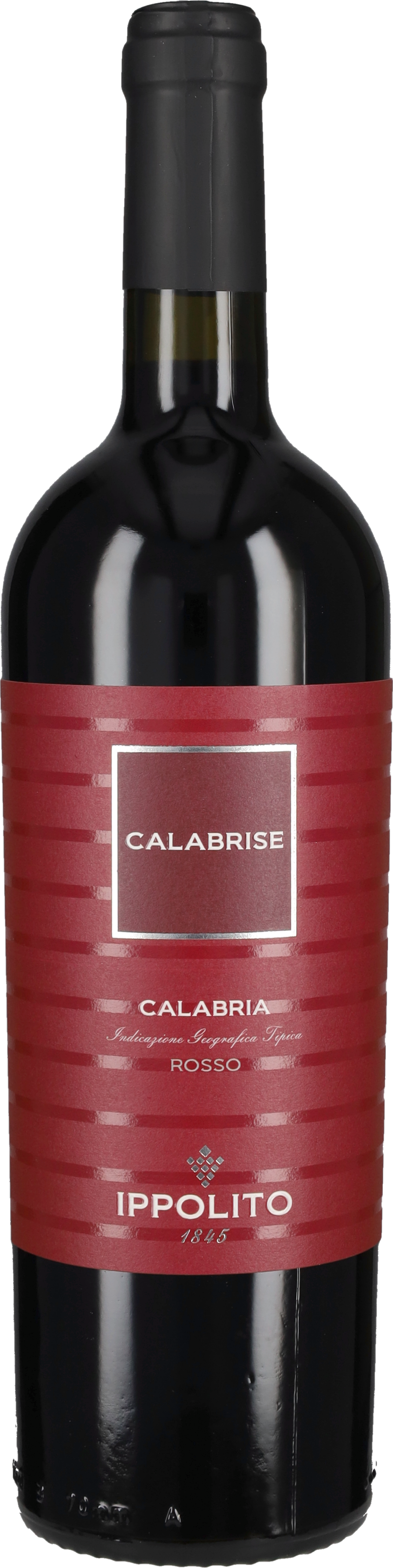 'Calabrise' Ippolito 1845 2024