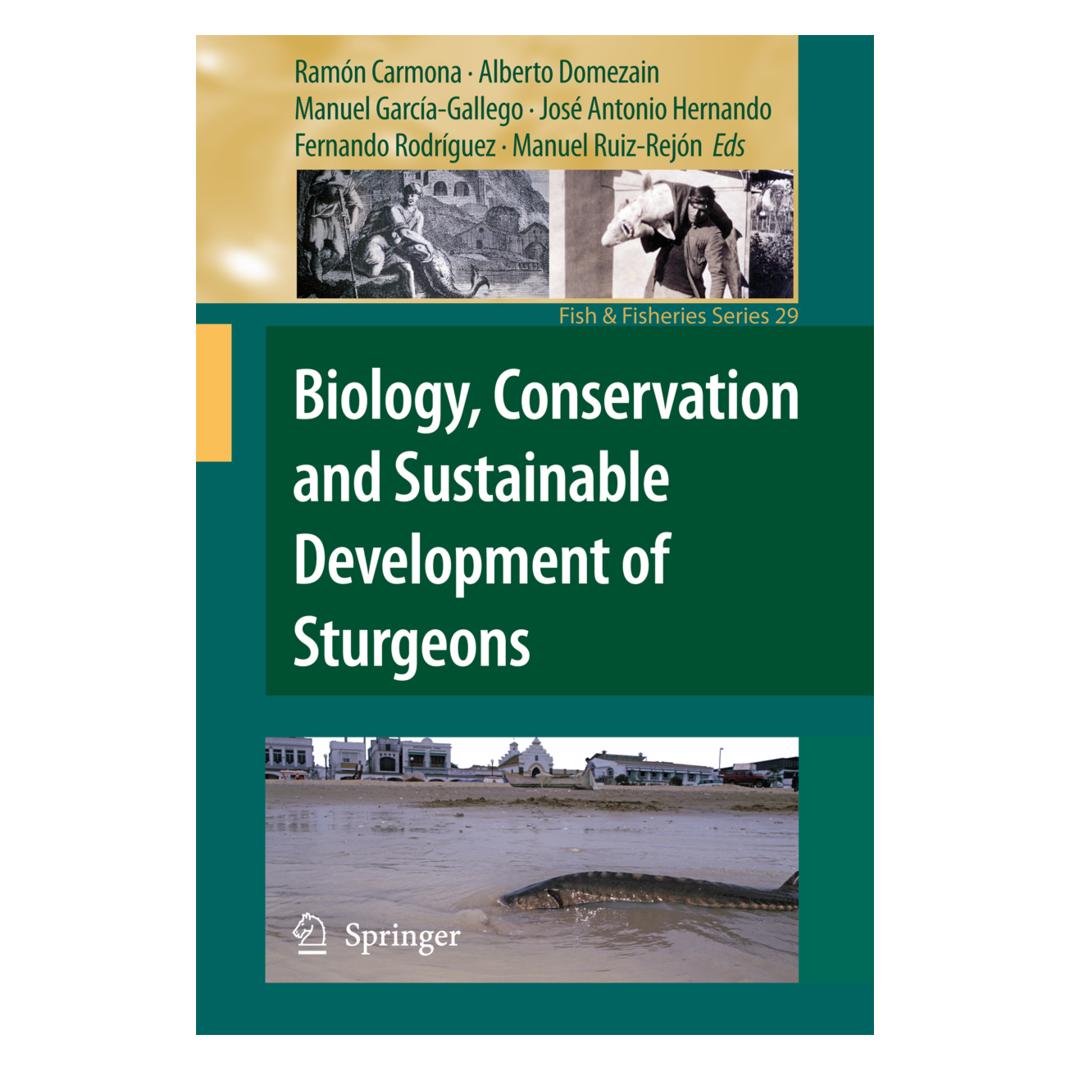 Springer Biology, Conservation and Sustainable Development of Sturgeons (Englisch, Softcover, Alberto Domezain, Fernando Rodríguez, José Antonio Hernando, Manuel García Gallego, Manuel Ruiz-Rejón, Ramón Carmona) (55384960)
