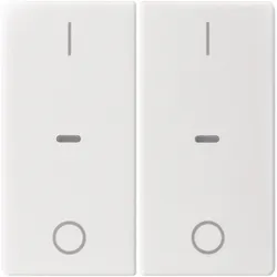 Berker 80962329 Abdeck. Tast.-M. 2f. I/O Q.x pw