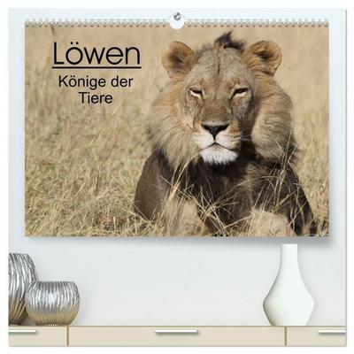 Löwen - Könige der Tiere (hochwertiger Premium Wandkalender 2027 DIN A2 quer), Kunstdruck in Hochglanz