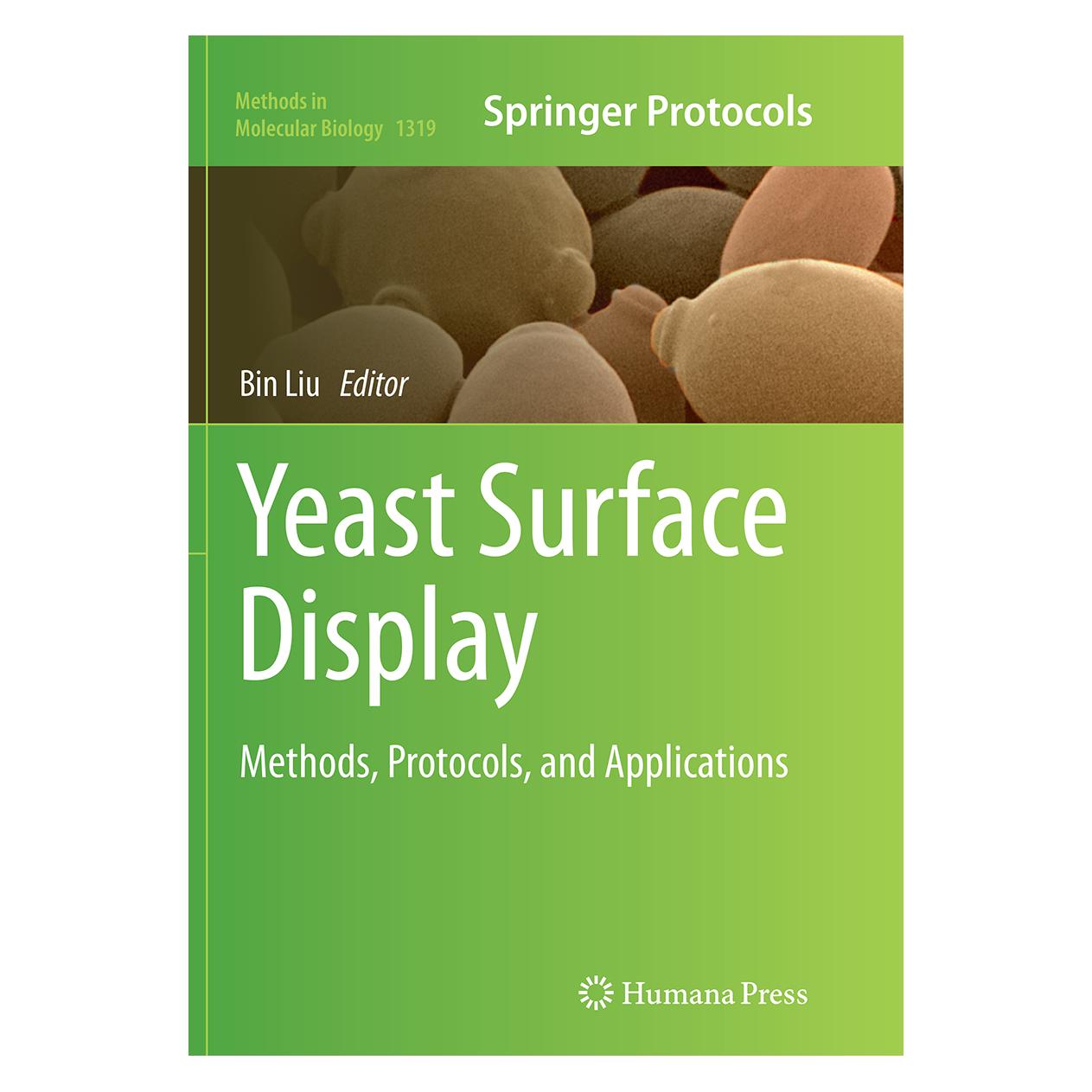 Springer Yeast Surface Display (Englisch, Softcover, Bin Liu) (55870342)