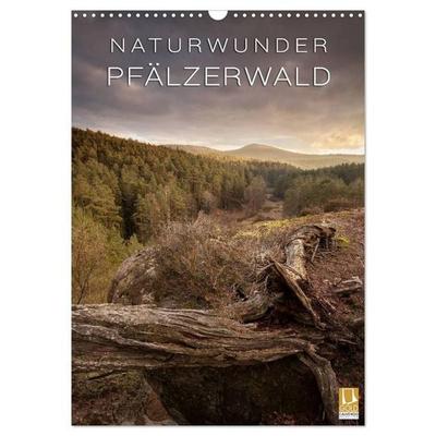 NATURWUNDER PFÄLZERWALD (Wandkalender 2026 DIN A3 hoch), CALVENDO Monatskalender