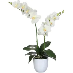 Mica, Kunstpflanzen, Kunstpflanze Phalaenopsis Decorations 45 x 28 x 50 cm creme (50 cm)