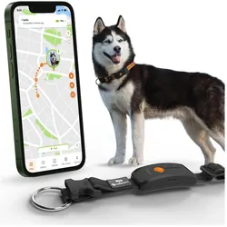 Weenect GPS-Tracker für Hunde (Hund), Halsband + Leine