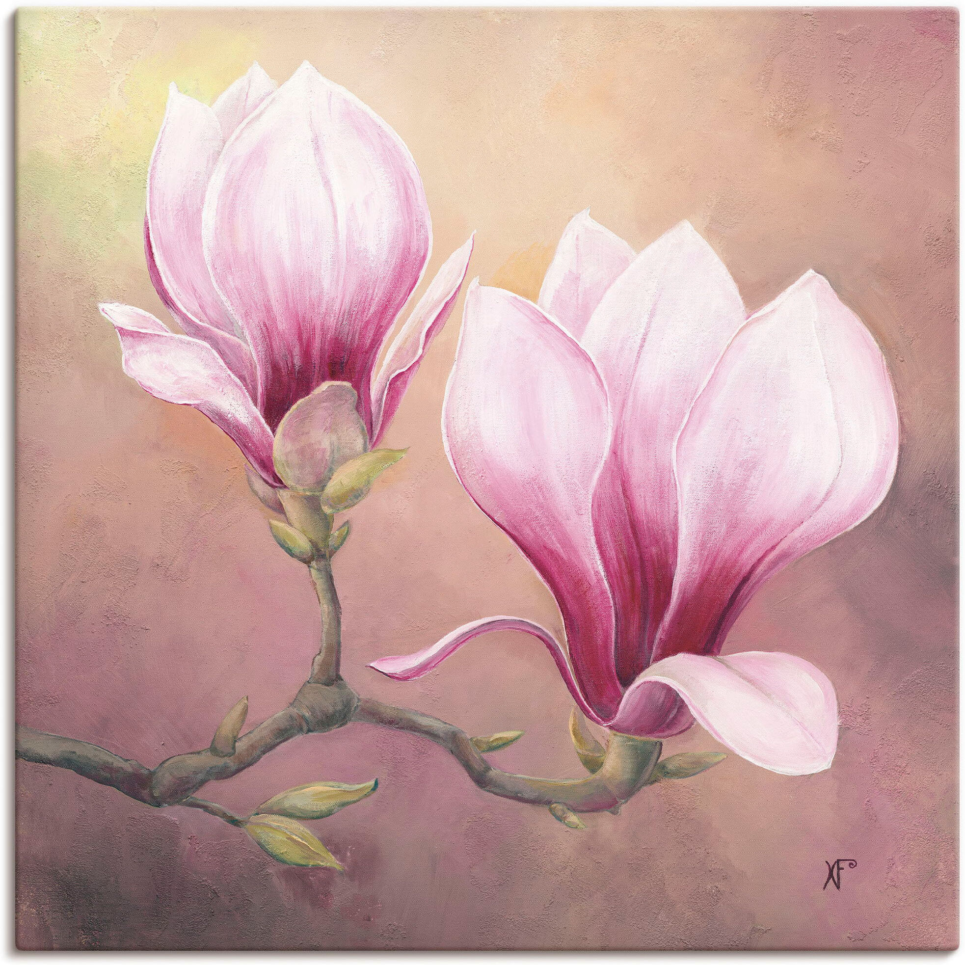 Leinwandbild ARTLAND "Späte Magnolie", lila (farbe bild(er): lila), B:30cm H:30cm, Bilder, Leinwandbild, auf Holzrahmen gespannt farbe bild(er): lila B/H/T: 30cm x 30cm, Leinwandbild Blumenbilder quadratisch, 1 Stk.