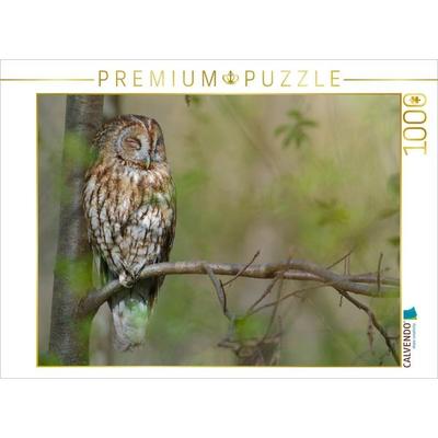 CALVENDO Puzzle Ruhender Waldkauz | 1000 Teile Lege-Größe 64x48cm Foto-Puzzle für glückliche Stunden