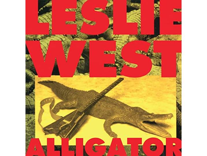 Alligator