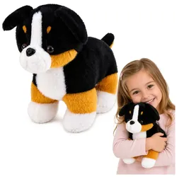 Plüsch-Kuscheltier Berner Sennenhund 30x30 cm