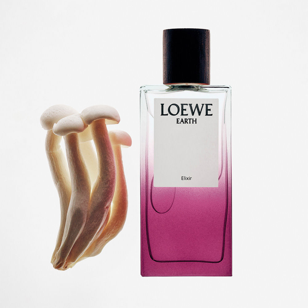 Loewe Earth Elixir eau de parfum vaporisateur 50 ml