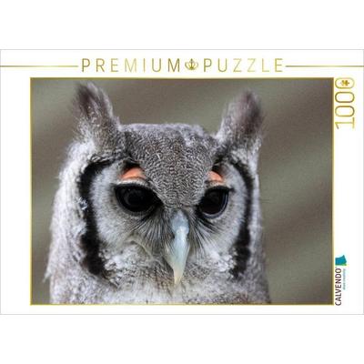 CALVENDO Puzzle Ein Motiv aus dem Kalender Greifvögel und Eulen | 1000 Teile Lege-Größe 64x48cm Foto-Puzzle für glückliche Stunden