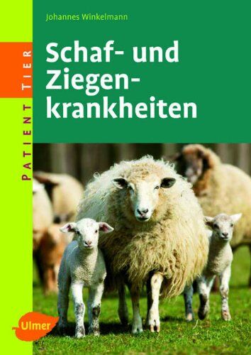 Johannes Winkelmann - Patient Tier. Schaf- und Ziegenkrankheiten - Preis vom 09.10.2026 07:28:09 h