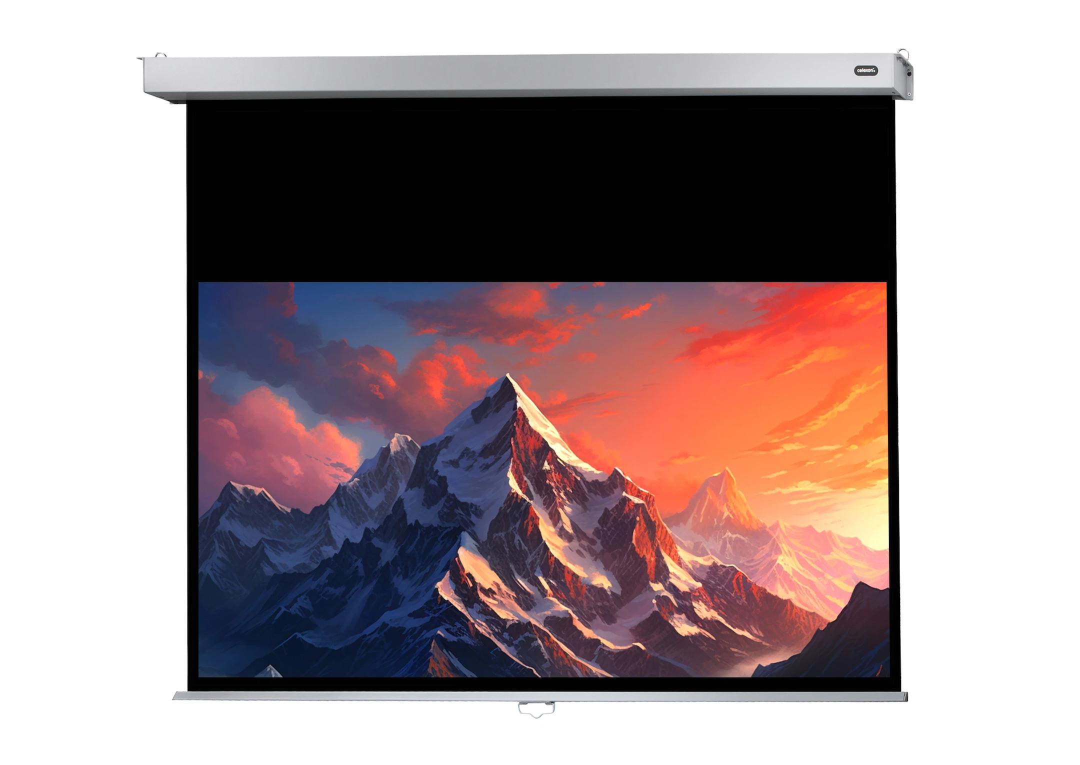 celexon Leinwand Rollo Professional Plus 220 x 124 cm