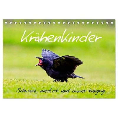 Krähenkinder - Schwarz, niedlich und immer hungrig (Tischkalender 2027 DIN A5 quer), CALVENDO Monatskalender