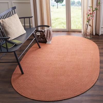 SAFAVIEH Handmade Braided Corinna Country Cotton Rug