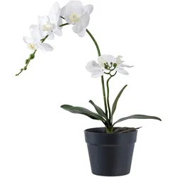 Kunstpflanze Orchid Weiß