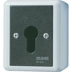 Jung Schlüsselschalter 833.18 G