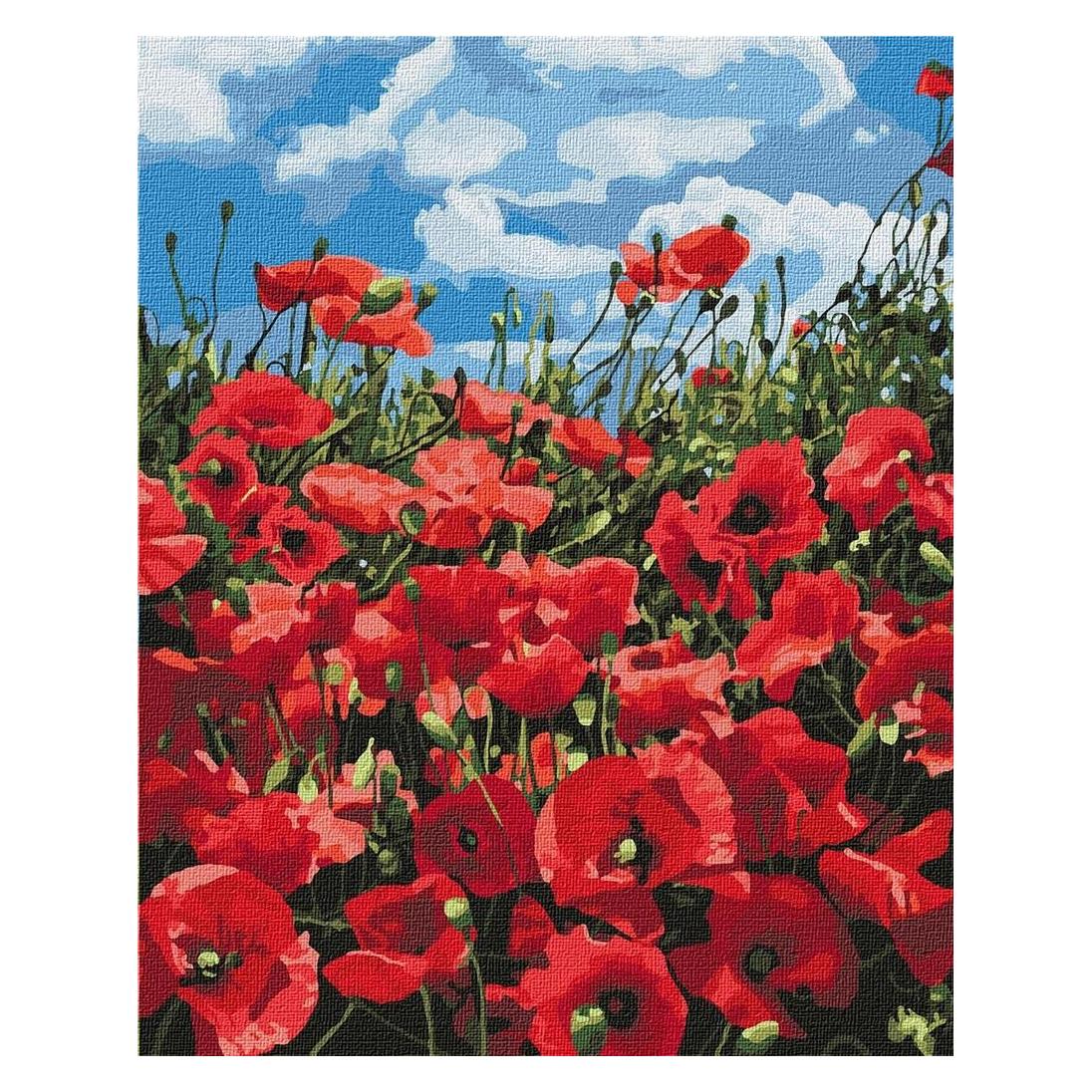WhiteLabel Malen nach Zahlen - Erstaunliche Mohnblumen 40x50cm (485590)