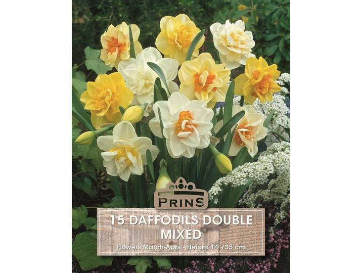Prins Narcis daffodils double mix 15 bollen