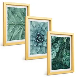 BILDER SET 3er Set - 20x30 cm Goldrahmen - Nahaufnahme von Pflanzenblättern