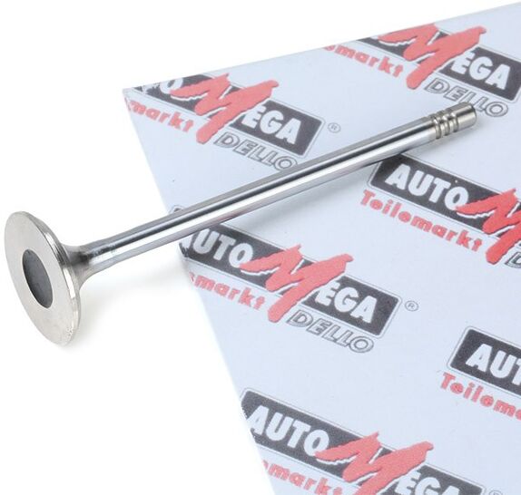 AUTOMEGA 130107410 Exhaust valve